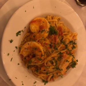 pasta estefano