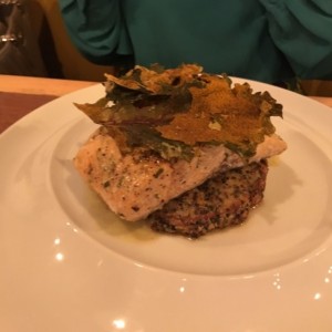 Salmon
