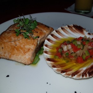 Salmon