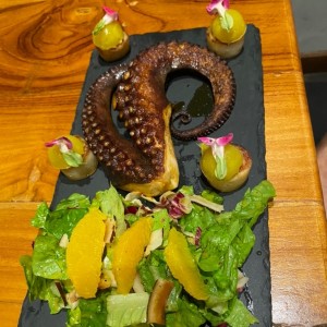 Pulpo