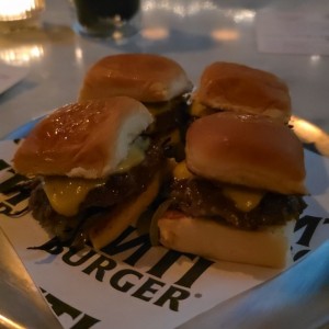 Anti burger sliders