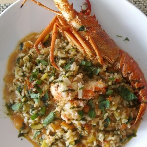 Risotto de Langosta