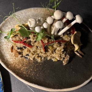 Funghi risotto