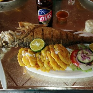 Corvina frita