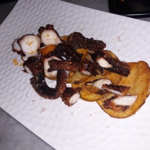 pulpo