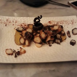 pulpo mediterraneo