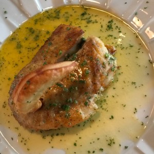 Corvina