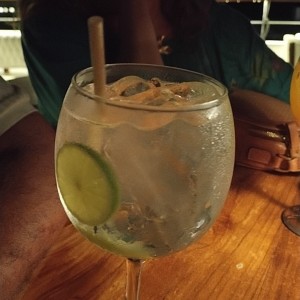 Gin Tonic 