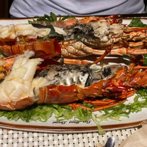 langosta