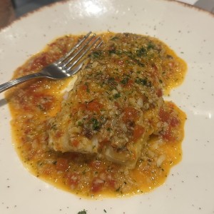 Pollo