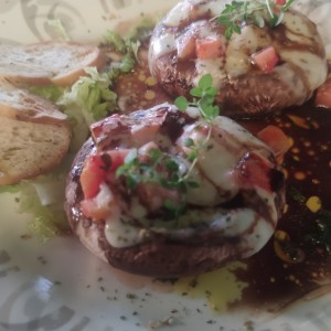hongos portobello