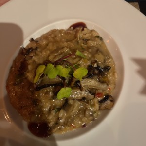 Rissoto fungi
