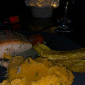 salmon