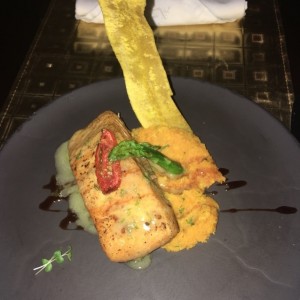 Salmon Assisi