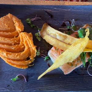 salmon