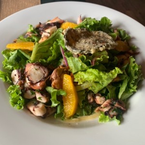 ensalada de pulpo