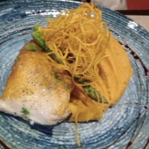 Salmon