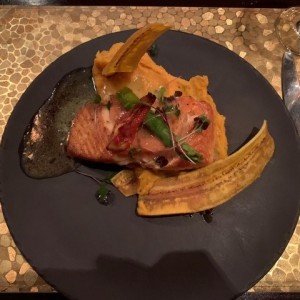 Salmon