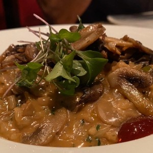 Risotto Funghi