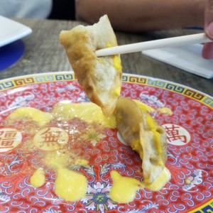 Gyosa de Pollo