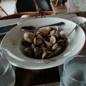 Almejas