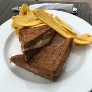 emparedado de salmon