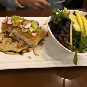 corvina