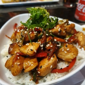 Platos Fuertes - Yakitoridon