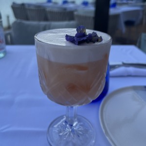 Bellini in the House 