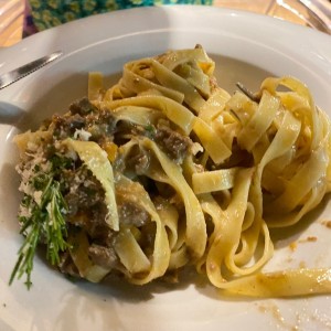 fetuchini al ragu