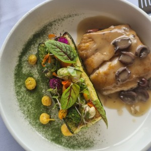 corvina