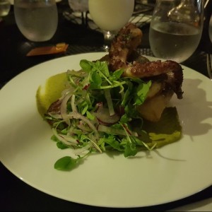 pesca del dia