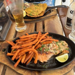 salmon