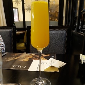 mimosa