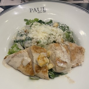 Salade Cesar au Poulet