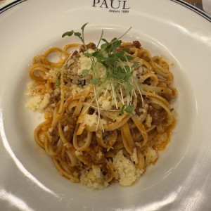 Bolognese