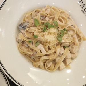 Pastas - Fettuccine au Poulet