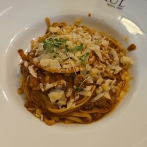 Bolognesa