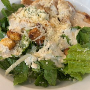 Salade Cesar au Poulet