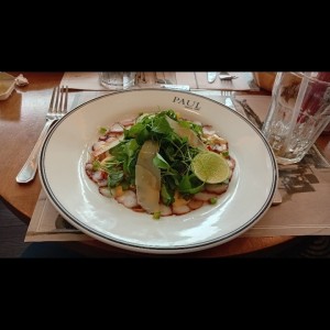 Entradas - Carpaccio de Poulpe