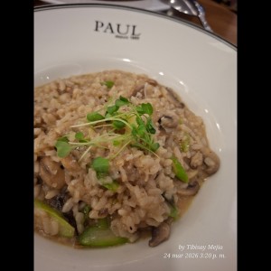 Risotto aux Champignons