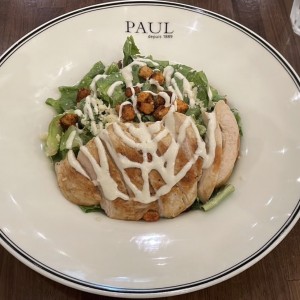 Salade Cesar au Poulet