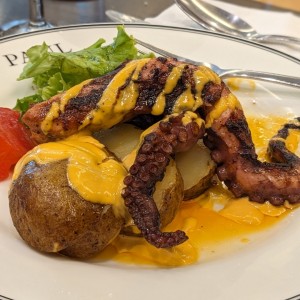 Pulpo