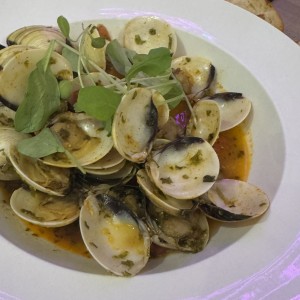 Almejas