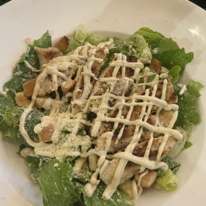 Ensalada Cesar con pollo