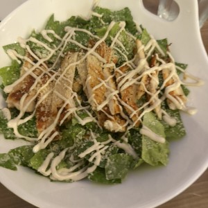 Ensalada cesar con pollo