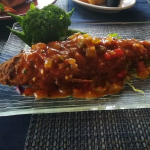 corvina en salsa criolla