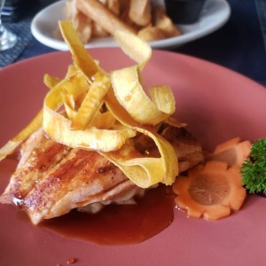 salmon