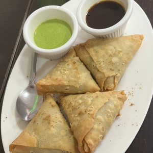 Aperitivos/ Apperitizes - Chicken Samosa