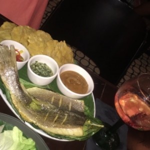 corvina